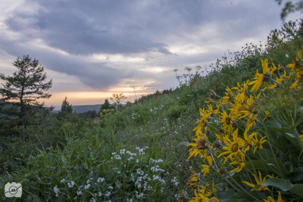 Emilee-Wright-How-to-take-a-golden-hour-landscape-image