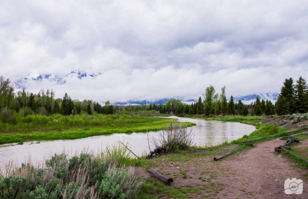 Emilee-Wright-The-Grand-Teton-Landscapes