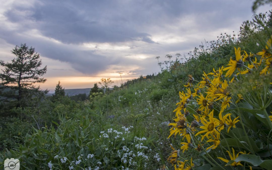 How to take a golden hour landscape image