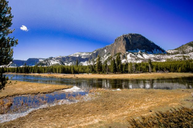 Emilee-Wright-Yellowstone-Beautiful-Yellowstone-in-the-Spring-Time