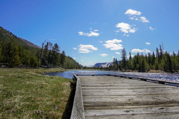 Emilee-Wright-Yellowstone-Beautiful-Yellowstone-in-the-Spring-Time