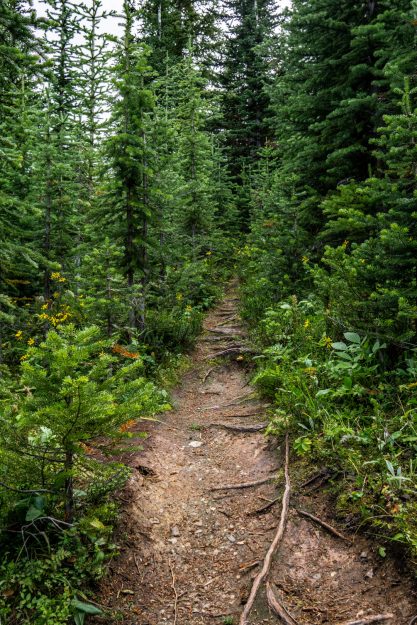 Emilee-Wright-Banff-National-Park-Photography