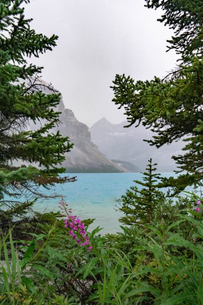 Emilee-Wright-Banff-National-Park-Photography