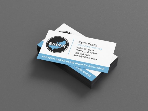 Emilee-Wright-Logo-and-Business-Card-Design-for-ESPAR-Ideas